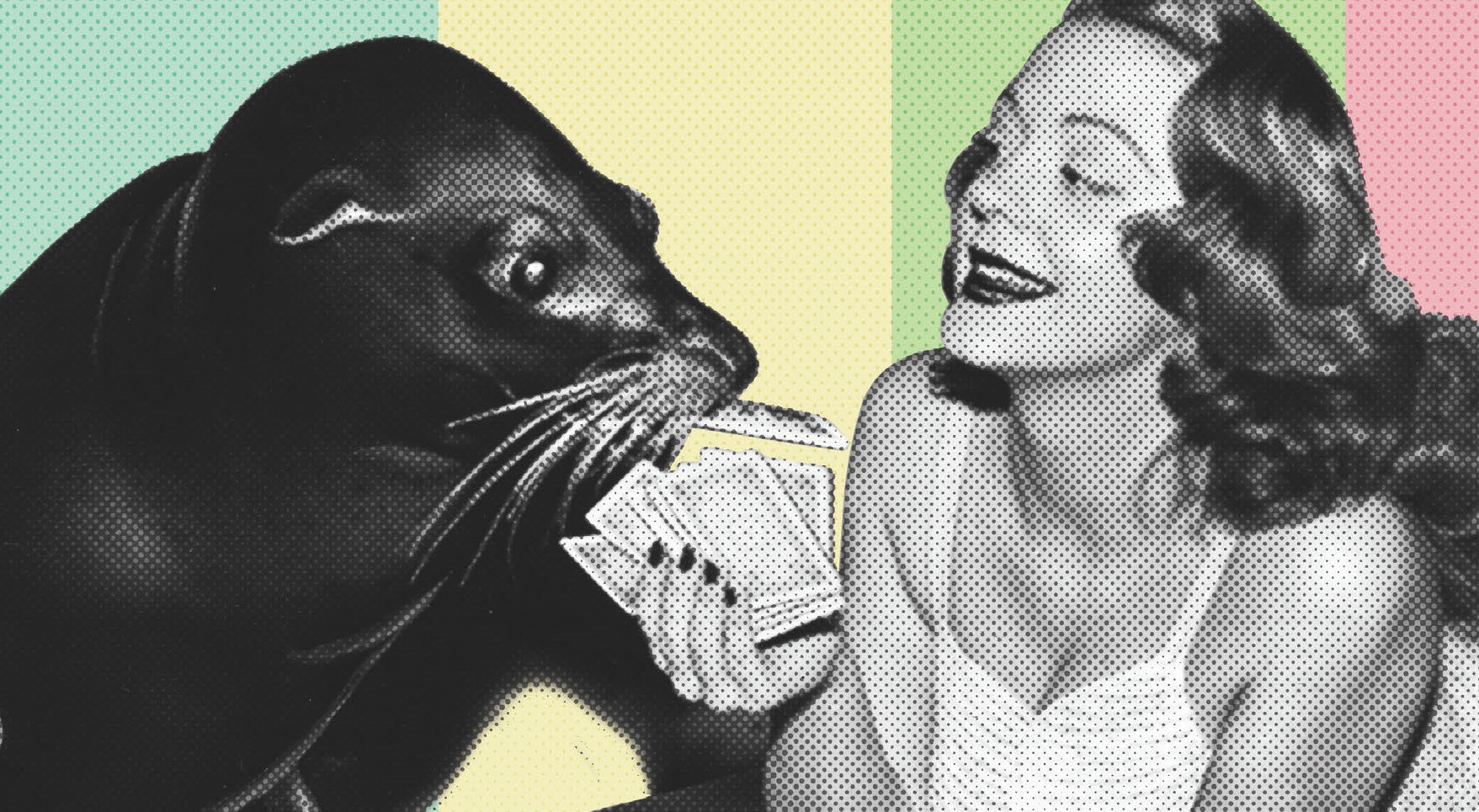 Bohan Sharkey final cropped