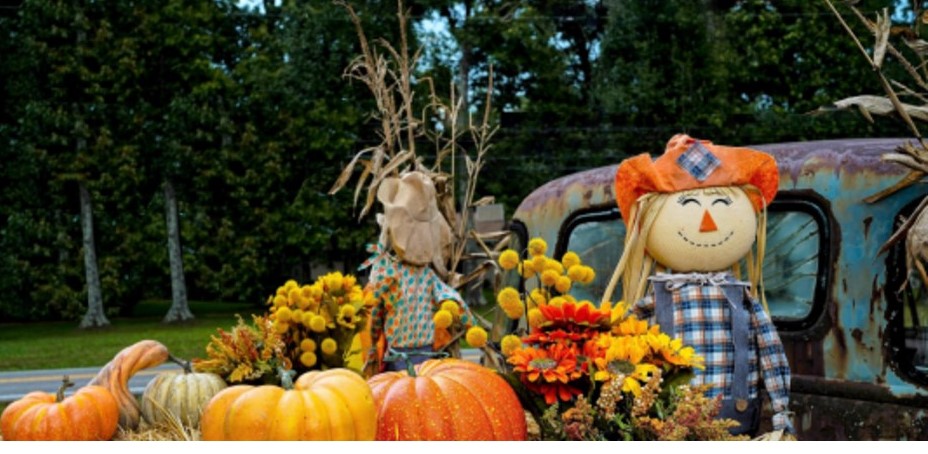 fall festival cropped