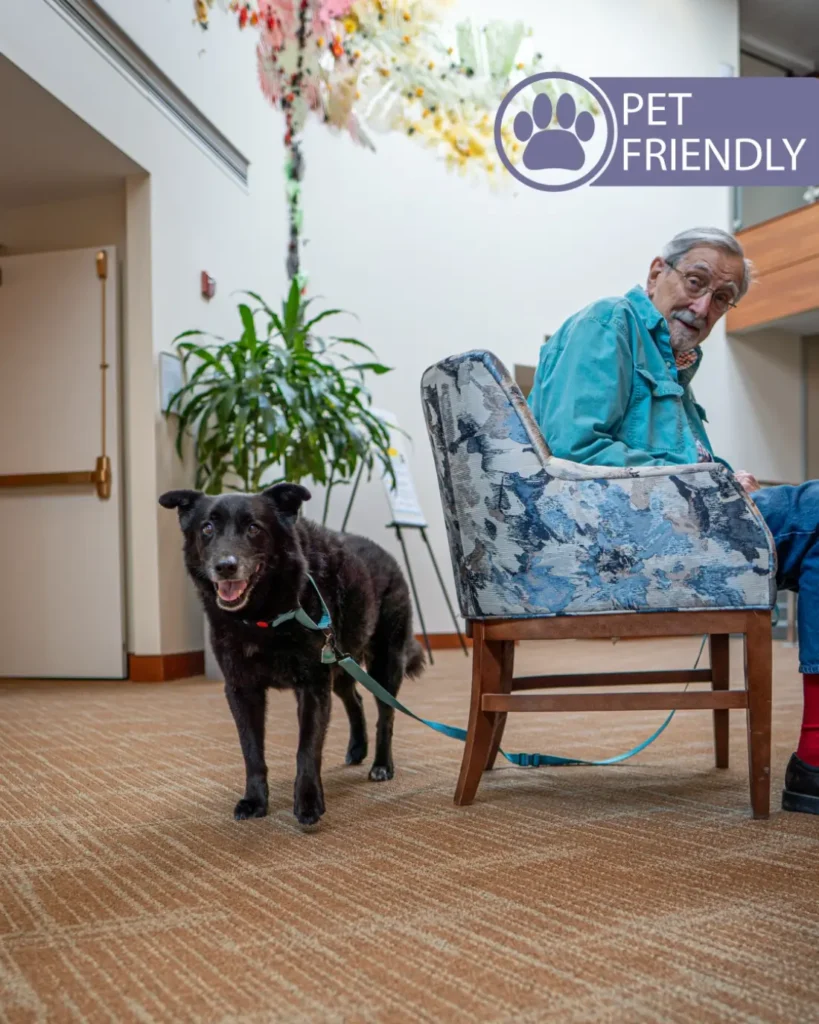 Independent Living in Needham MA at North Hill 2 north hill pet friendly 2