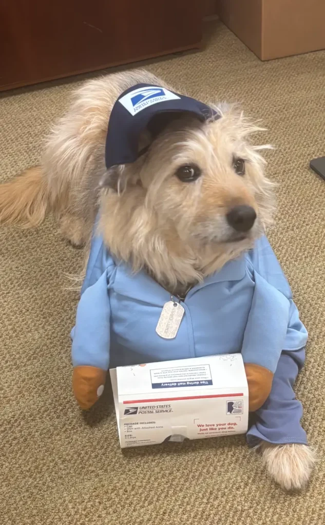 Do retirement communities allow pets? 2 north hill pet friendly 3