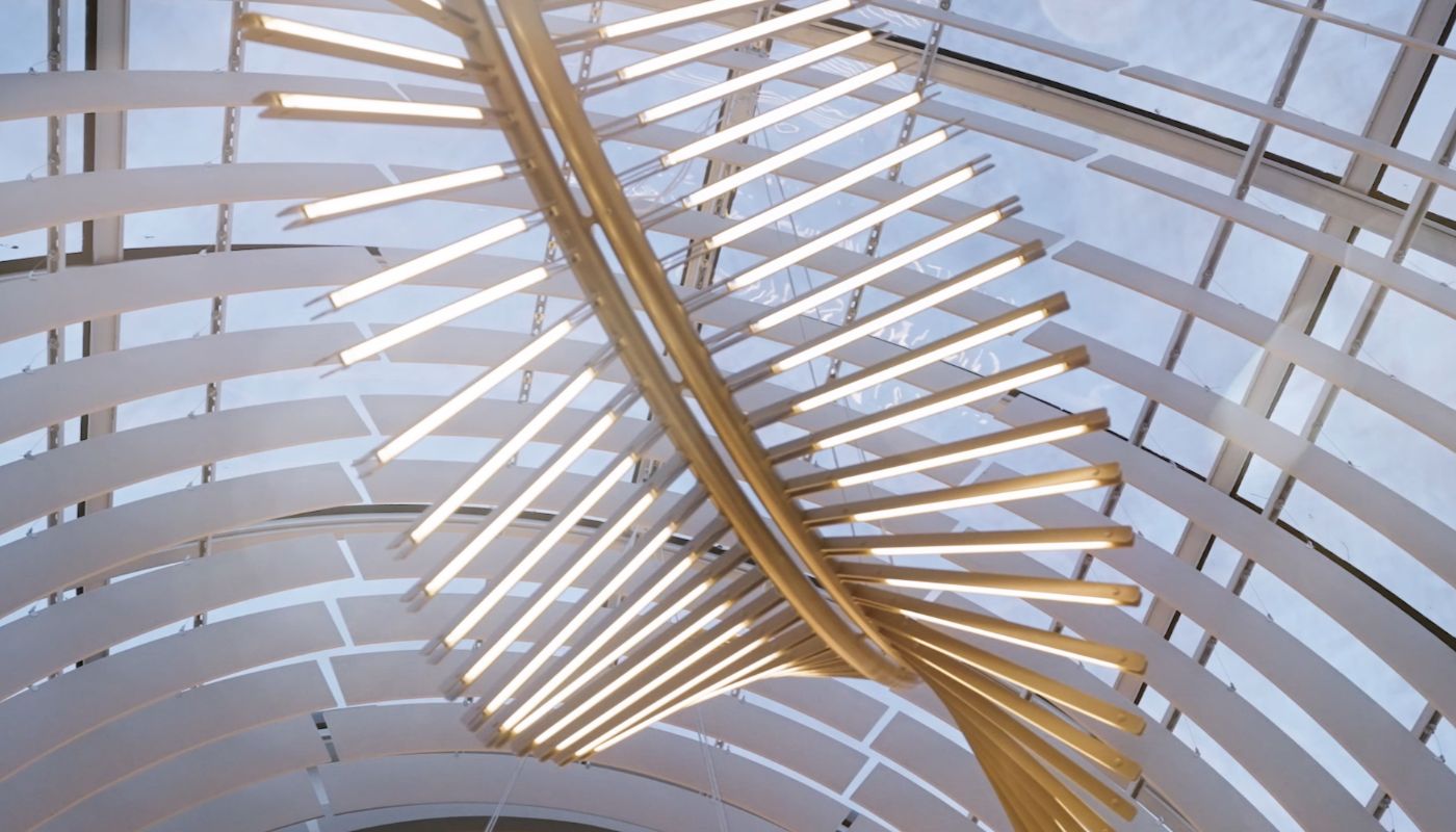 Culinary Services 5 SUMMA ceiling