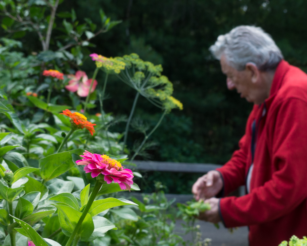 Gardens 12 gardens at north hill-076