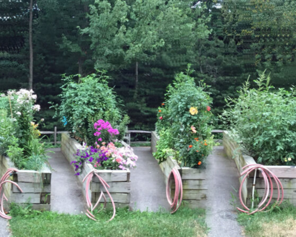 Gardens 4 gardens at north hill-084