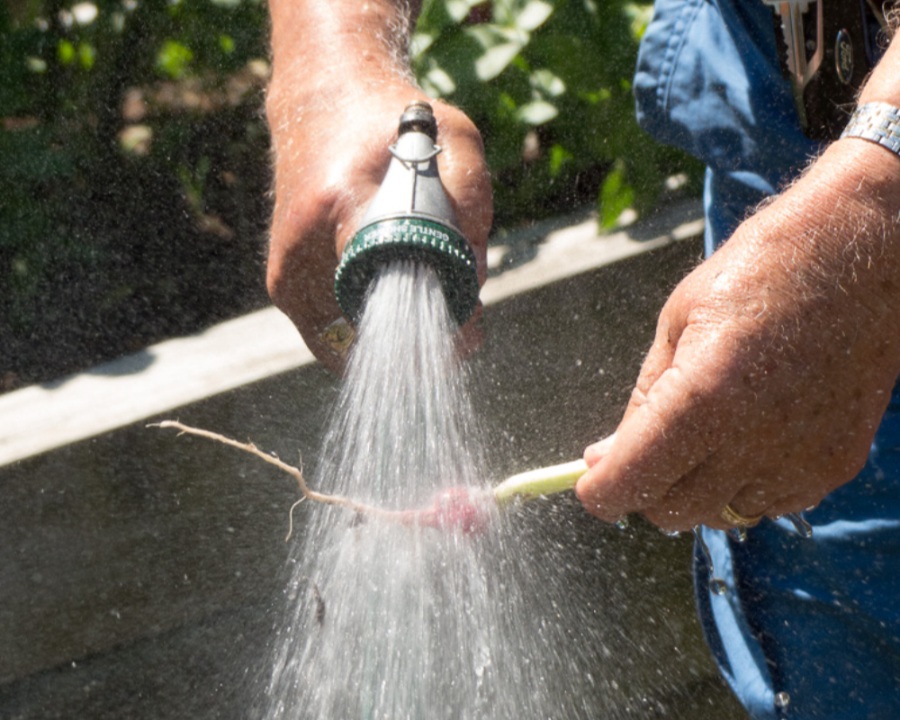 Gardens 3 gardens at north hill-085