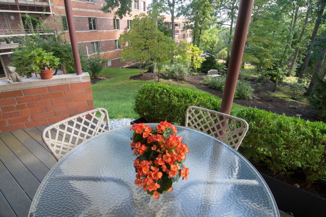 Floor Plans & Pricing 6 north hill interior views gallery-028