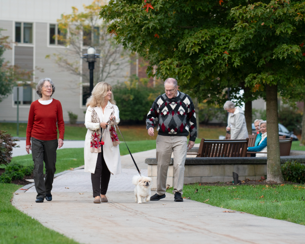 Pet Friendly 9 pet friendly at north hill-071