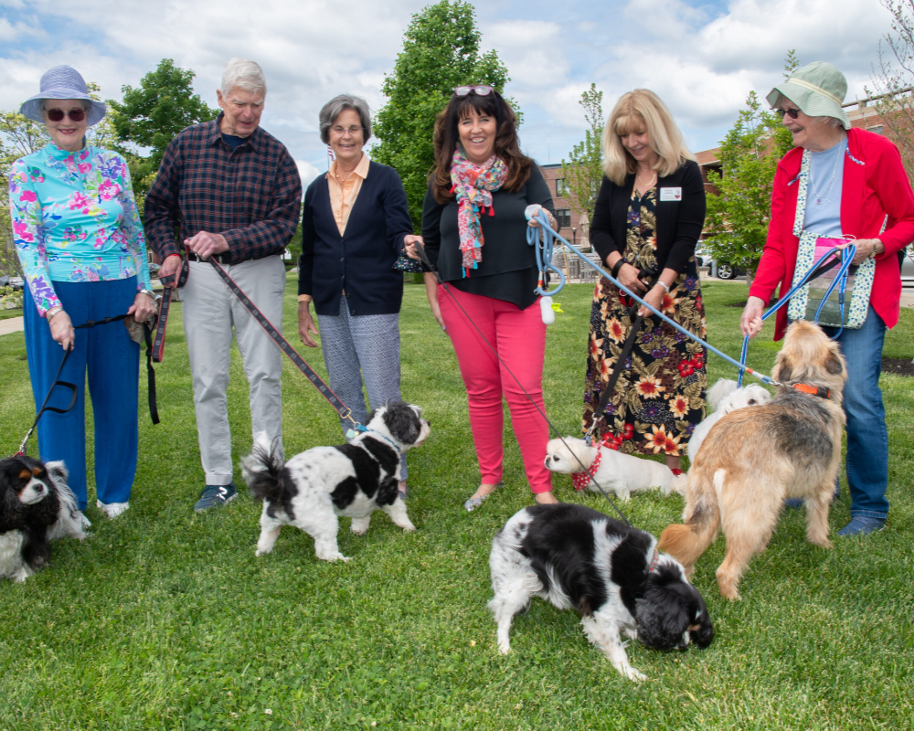 Pet Friendly 11 pet friendly at north hill-073