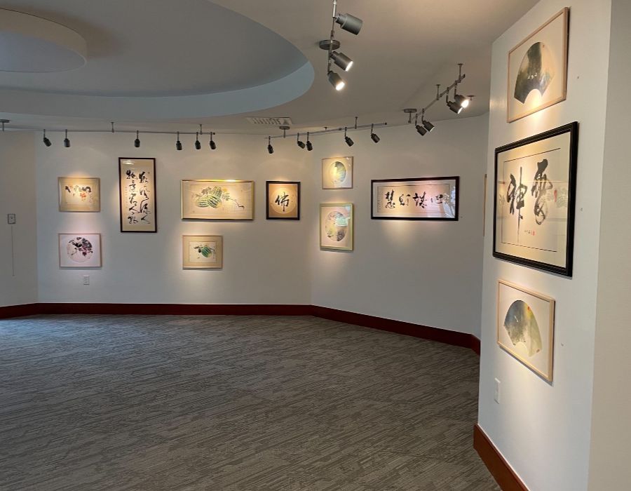 your future at north hill 028