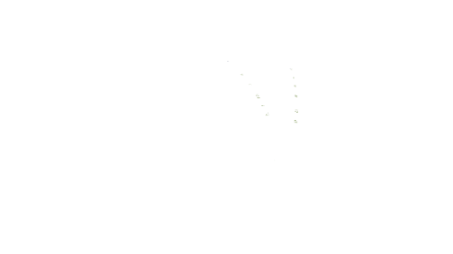 north hill white logo